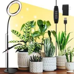 Produktbild: COKOLILA Neueste 80 LED 5V3A Pflanzenlampe LED Vollspektrum, Desk 360° verstellbarer flexibler Schlauch Pflanzenlicht, 3/9/12 Auto-Timer, 30-63 cm Teleskopstange Grow Light für Zimmerpflanzen