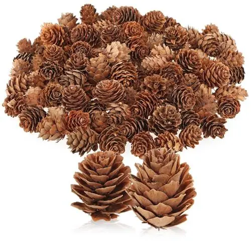 Produktbild: com-four® 100x Dekozapfen Lärche - Streudeko für Herbst und Winter - kleine Lärchenzapfen als Tischdekoration - Weihnachtsschmuck (100x Lärchenzapfen Natur)
