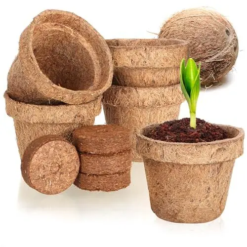 Produktbild: com-four® 10-teiliges Kokosanzucht-Set - biologisch abbaubare Kokosscheiben im Topf - Anzuchthilfe aus 5 Quelltabs und 5 Töpfen - Pflanzschalen aus Kokosfaser - Anzuchtunterstützung für Samen