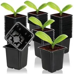 Produktbild: com-four® 60x Anzuchttöpfe für Pflanzen 7,5 cm - Pflanztöpfe für die Anzucht - Blumentopf für die Pflanzenzucht, Vierecktopf mit Löcher an der Unterseite (060 Stück - Anzuchttopf 7.5x8cm)