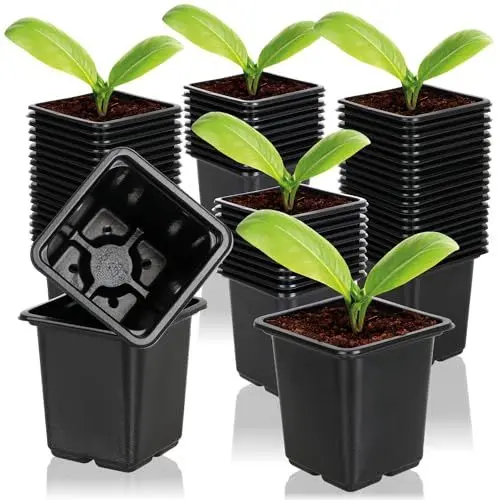 Produktbild: com-four® 60x Anzuchttöpfe für Pflanzen 7,5 cm - Pflanztöpfe für die Anzucht - Blumentopf für die Pflanzenzucht, Vierecktopf mit Löcher an der Unterseite (060 Stück - Anzuchttopf 7.5x8cm)