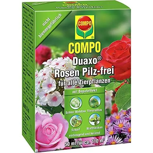Produktbild: Compo Duaxo Rosen Pilz-frei, Bekämpfung von Pilzkrankheiten an Allen Zierpflanzen, Konzentrat inkl. Messbecher, 50 ml