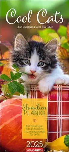 Produktbild: Cool Cats Familienplaner 2025: Großer Foto-Terminkalender mit 5 Spalten für Familien. Schöner Familien-Wandkalender 2025 mit süßen Katzen-Fotos. 22 x 48 cm (Tierkalender Weingarten)