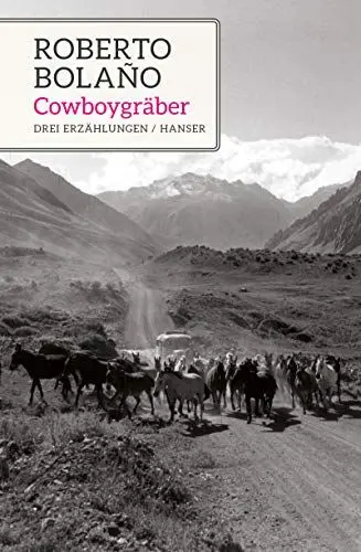 Produktbild: Cowboygräber: Drei Erzählungen