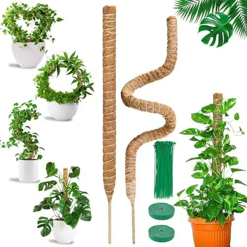 Produktbild: COZCLAM Monstera Rankhilfe, 2 Stück 75cm Kokosstab Pflanzenstab Monstera, Moosstab für Monstera für Indoor Kletterpflanzen, Rankhilfe Zimmerpflanzen für Kletterpflanzen, die nach Oben wachsen