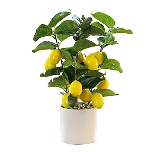 Produktbild: Creahappy 18 Zoll Künstliche Topfpflanzen, Künstlicher Orangenbaum, Künstliche Zitrusfruchtpflanze mit Weißem Topf, Kunstpflanzen für den Innenbereich, für Zuhause, Wohnzimmer, Büro, (B)