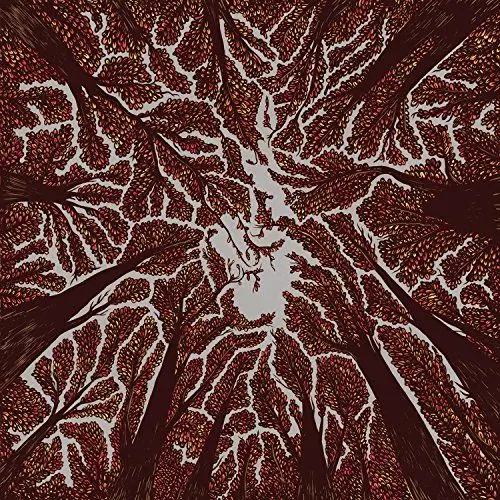 Produktbild: Crown Shyness