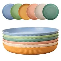 Produktbild: CSYY 6 Stück Teller, Unzerbrechliches Speiseteller Set, Tiefe aus Kunststoff Picknickteller-Set 22,5cm/9inch Campingteller für Salat Pasta Party Zuhause Mikrowelle und Spülmaschinenfest