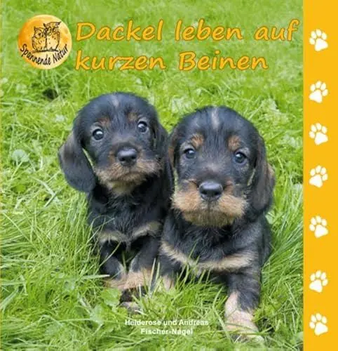 Produktbild: Dackel leben auf kurzen Beinen (Spannende Natur)