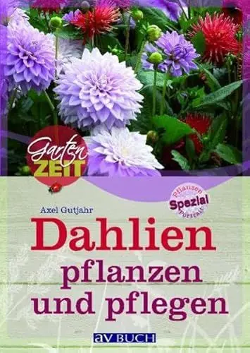 Produktbild: Dahlien pflanzen und pflegen (Gartenzeit)
