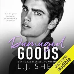 Produktbild: Damaged Goods: All Saints High, Book 4