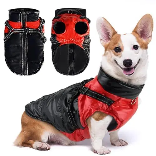 Produktbild: Darryy Hundejacke Winterweste Jacken Hundemantel Hundepullover Haustier Skifahren Kostüm Ärmellose Baumwolle Gepolsterte Weste Mit Brustgurt Gurt (M)