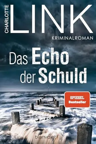 Produktbild: Das Echo der Schuld: Kriminalroman