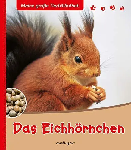 Produktbild: Das Eichhörnchen (Meine große Tierbibliothek)