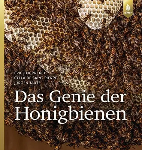 Produktbild: Das Genie der Honigbienen