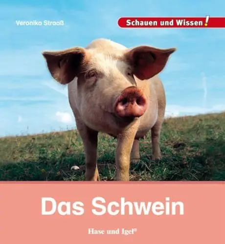 Produktbild: Das Schwein: Schauen und Wissen!