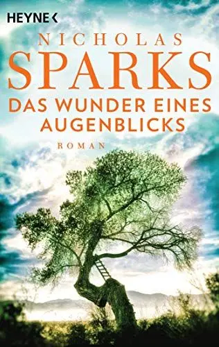 Produktbild: Das Wunder eines Augenblicks: Roman