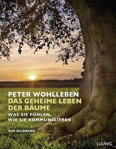 Produktbild: Das geheime Leben der Bäume: Was sie fühlen, wie sie kommunizieren. Der Bildband. Mit dem vollständigen Text der Originalausgabe