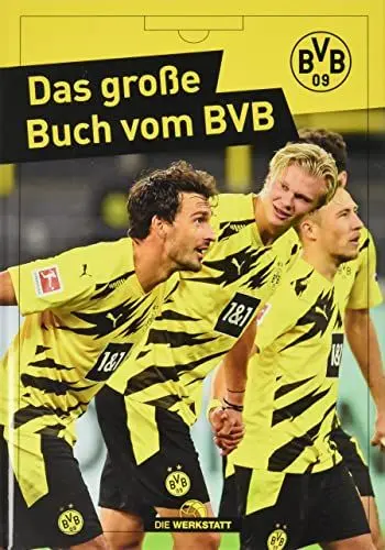 Produktbild: Das große Buch vom BVB