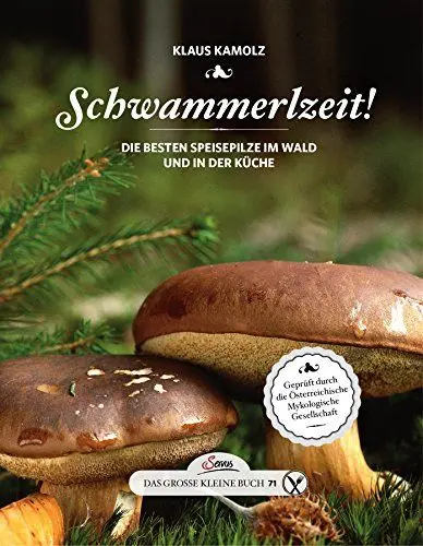 Produktbild: Das große kleine Buch: Schwammerlzeit!: Die besten Speisepilze im Wald und in der Küche