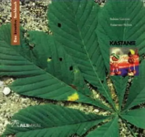 Produktbild: Das kreative Sachbuch Kastanie (Lernmaterialien)