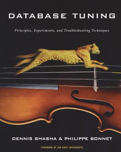 Produktbild: Database Tuning: Principles, Experiments, and Troubleshooting Techniques (The Morgan Kaufmann Series in Data Management Systems)