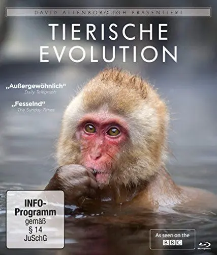 Produktbild: David Attenborough: Tierische Evolution (Blu-ray)