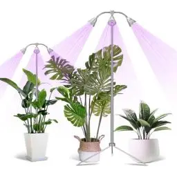 Produktbild: DAYREE Pflanzenlampe LED Vollspektrum Pflanzenlicht für Zimmerpflanzen,Lampe Pflanzenleuchte,Lume 88 LED-Wachstumsleuchten für Zimmerpflanzen Grow Lights for Indoor Plants (‎KD-55F)