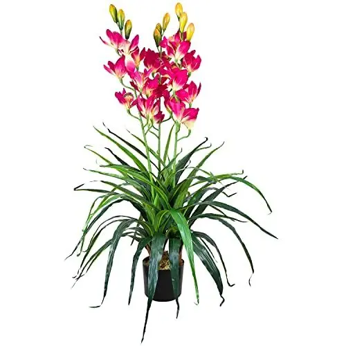 Produktbild: Decovego Künstliche Orchidee Kunstpflanze Künstliche Pflanze Kunstblume Innendekoration Kunst Pflanze wie echt im Topf Auswahl, Auswahl Orchidee Pflanze:Orchidee Modell 8