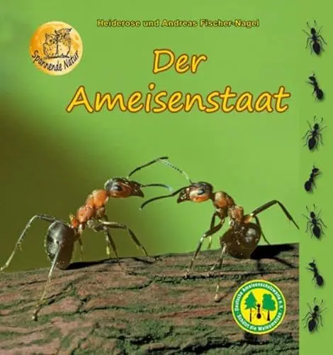 Produktbild: Der Ameisenstaat