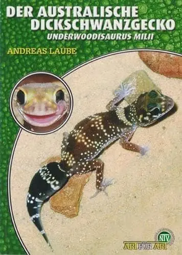 Produktbild: Der Australische Dickschwanzgecko: Underwoodisaurus milii (Buchreihe Art für Art Terraristik)
