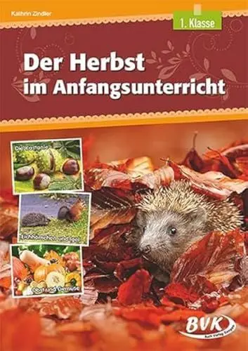 Produktbild: Der Herbst im Anfangsunterricht | Differenzierter Sachunterricht, 1. Klasse (heterogene Lernvoraussetzungen)