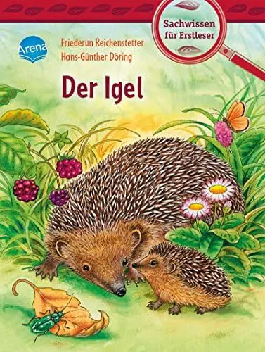 Produktbild: Der Igel: Sachwissen für Erstleser
