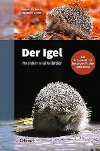 Produktbild: Der Igel – Nachbar und Wildtier: Das Artporträt mit Ratgeber für den Igelschutz