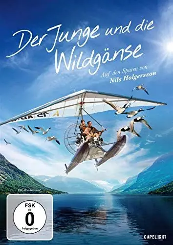 Produktbild: Der Junge und die Wildgänse