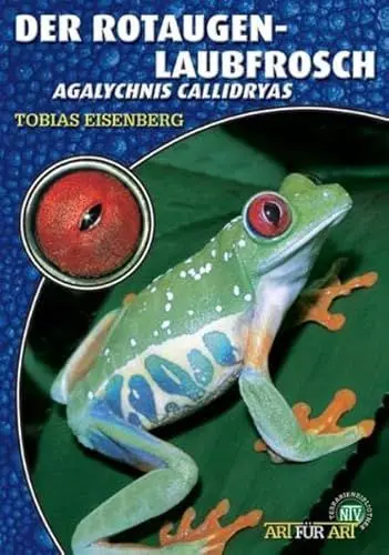 Produktbild: Der Rotaugenlaubfrosch: Agalychnis callidryas (Buchreihe Art für Art Terraristik)