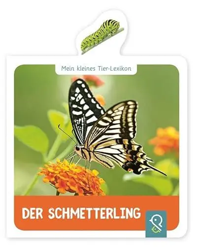 Produktbild: Der Schmetterling: Mein kleines Tier-Lexikon