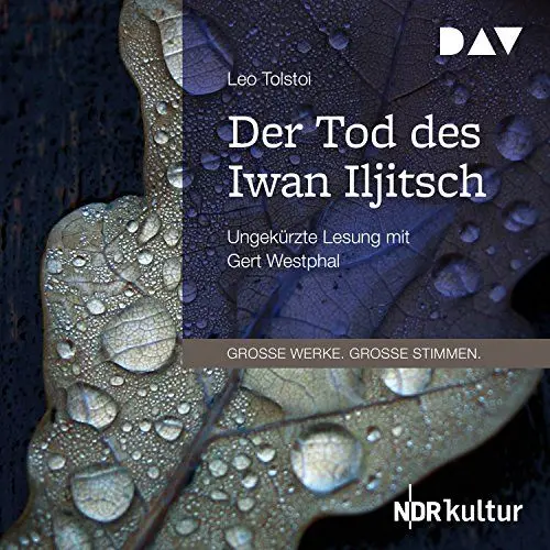 Produktbild: Der Tod des Iwan Iljitsch