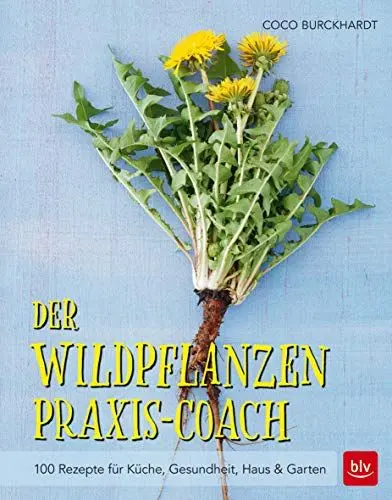 Produktbild: Der Wildpflanzen Praxis-Coach: 100 Rezepte für Küche, Gesundheit, Haus & Garten