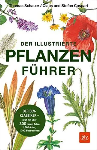 Produktbild: Der illustrierte Pflanzenführer: Der BLV-Klassiker – jetzt mit über 300 neuen Arten (BLV Naturführer)