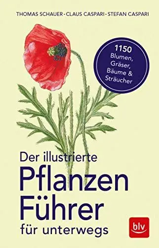 Produktbild: Der illustrierte Pflanzenführer für unterwegs: 1150 Blumen, Gräser, Bäume und Sträucher (BLV Naturführer)