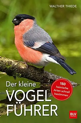 Produktbild: Der kleine Vogelführer: 150 heimische Arten schnell bestimmen (BLV Vögel)