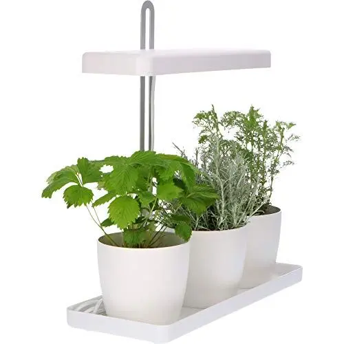 Produktbild: Design Kräutergarten mit höhenverstellbarem Pflanzenlicht 20W als Anzuchtschale oder Kräuterbeet