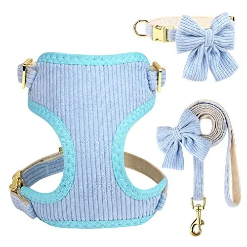 Produktbild: Didog süße Halsband Harness und Leine Set für kleine Hunde, verstellbare Halsbänder und Leinen mit Fliege, atmungsaktive weiche Mesh-Polsterverkleidung für kleine Hunde beim Gassi gehen, Blau, S