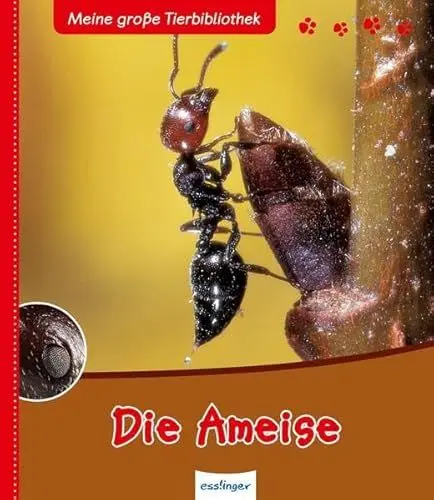 Produktbild: Die Ameise (Meine große Tierbibliothek)