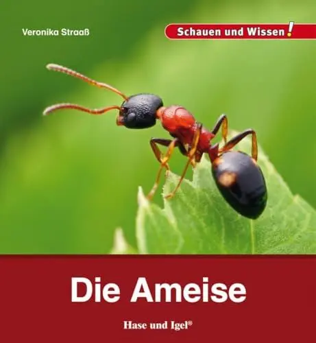 Produktbild: Die Ameise: Schauen und Wissen!