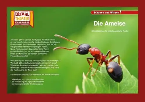 Produktbild: Die Ameise / Kamishibai Bildkarten: 10 Fotobildkarten für das Erzähltheater