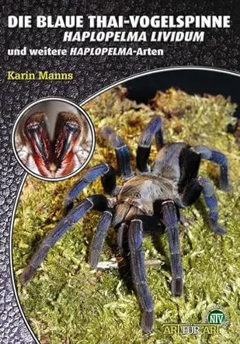 Produktbild: Die Blaue Thai-Vogelspinne: Haplopelma lividum