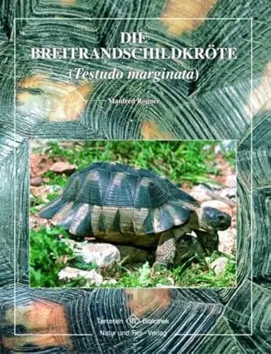 Produktbild: Die Breitrandschildkröte (Testudo marginata)