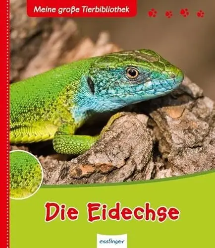 Produktbild: Die Eidechse (Meine große Tierbibliothek)